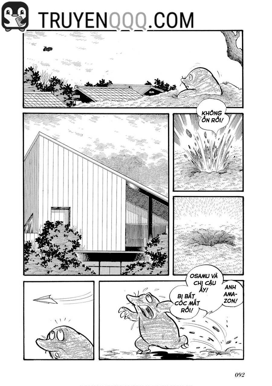Giả Diện Kỵ Sĩ Amazon - Chapter 5 - Page 5