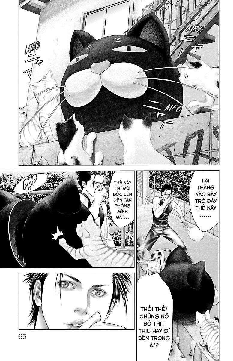 Kiến Vua - Chapter 1 - Page 62