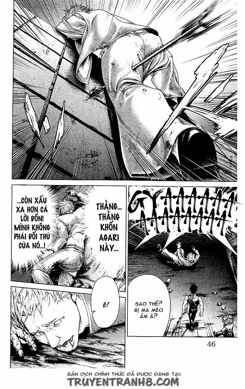 Kiến Vua - Chapter 3 - Page 5