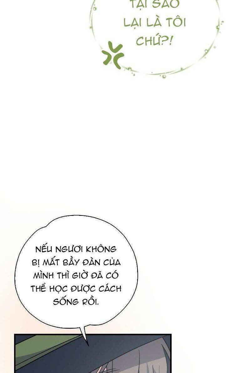 Nhà Hiền Triết Yigret - Chapter 81 - Page 41