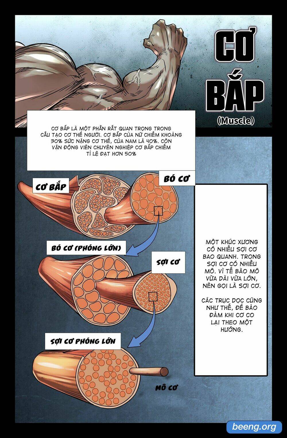 Mạnh Nhất Lịch Sử - Chapter 164 - Page 4