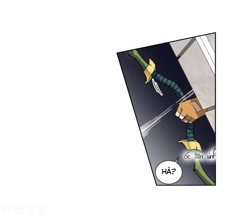 Võng Du Chi Cận Chiến Pháp Sư - Chapter 218 - Page 5