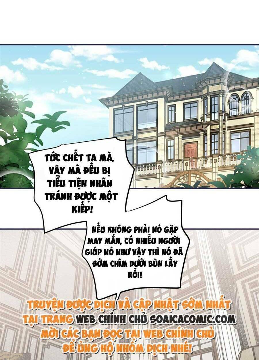 Đại Lão Nào Cũng Tranh Sủng Ta Chapter 106 - Trang 12