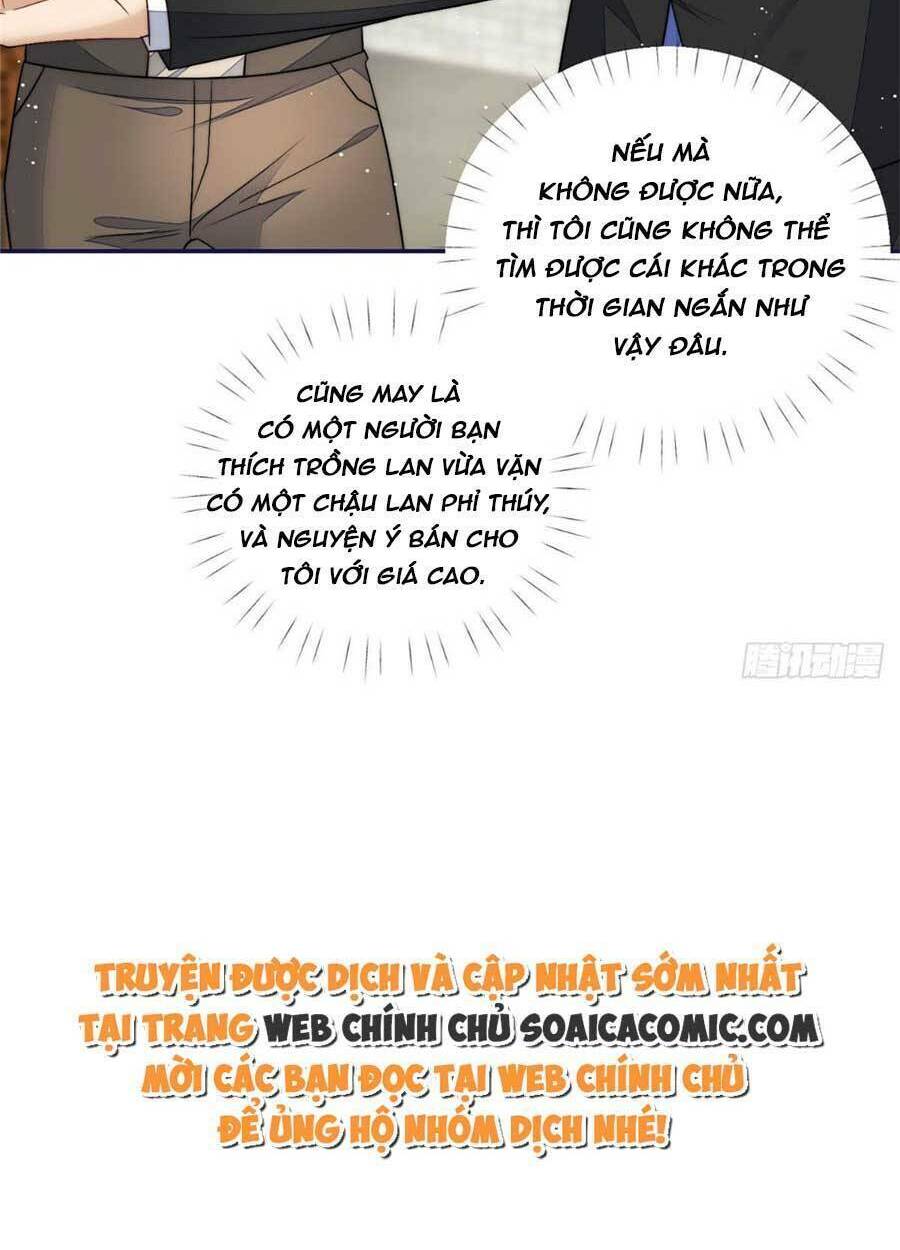 Đại Lão Nào Cũng Tranh Sủng Ta Chapter 117 - Trang 8