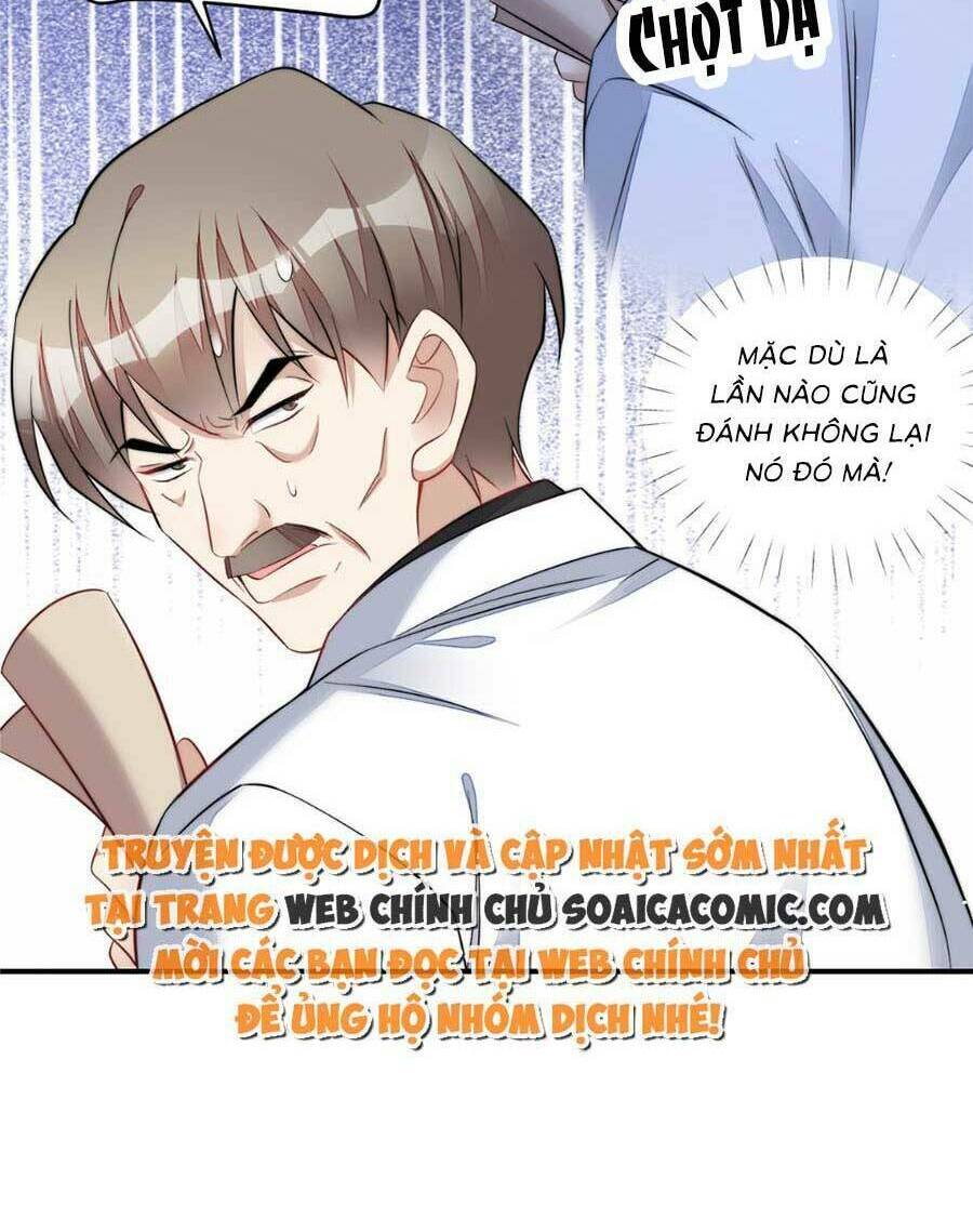 Đại Lão Nào Cũng Tranh Sủng Ta Chapter 187 - Trang 17