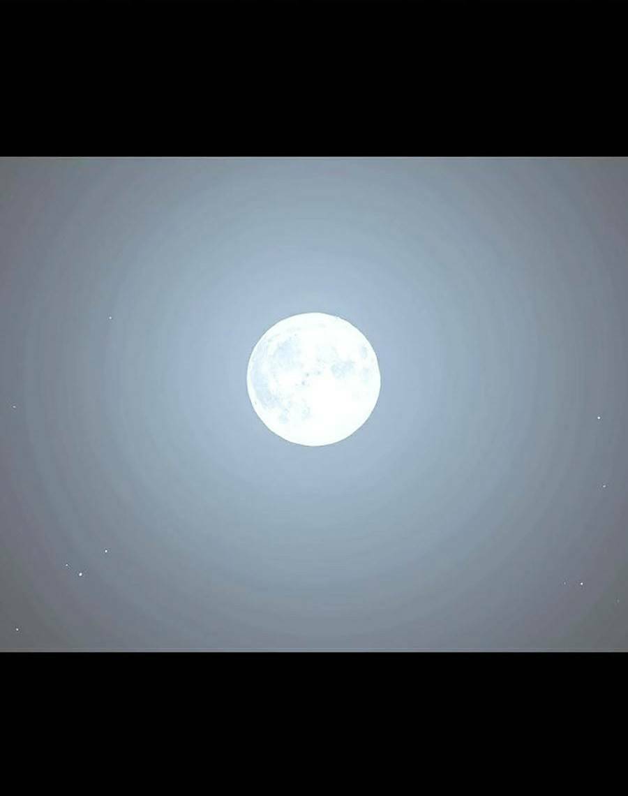 Cuồng Thú - Chapter 1 - Page 40