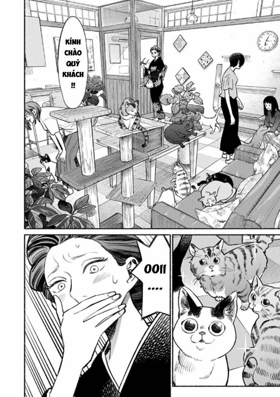 Ông chồng Yakuza nội trợ - Chapter 55 - Page 3