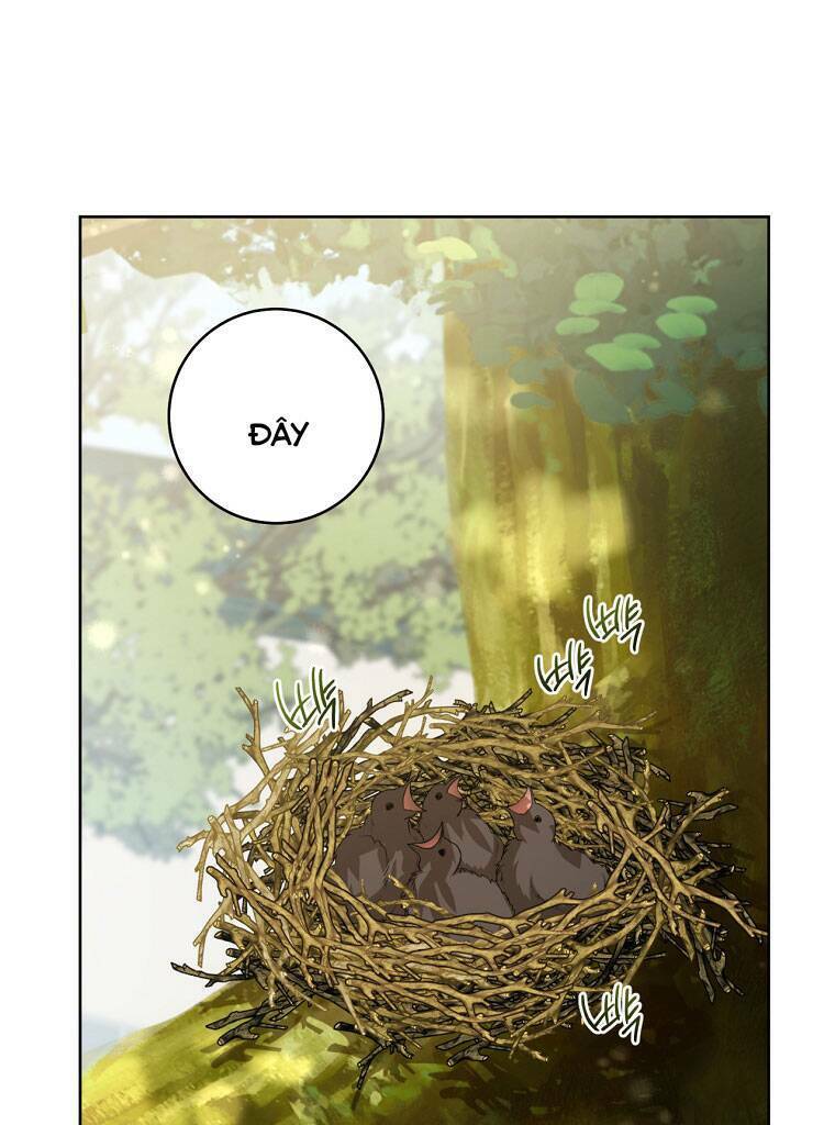 Trở Thành Cô Cháu Gái Bị Khinh Miệt Của Gia Tộc Võ Lâm - Chapter 18 - Page 25