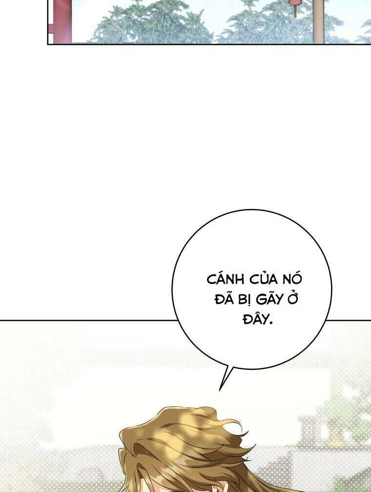 Trở Thành Cô Cháu Gái Bị Khinh Miệt Của Gia Tộc Võ Lâm - Chapter 18 - Page 54