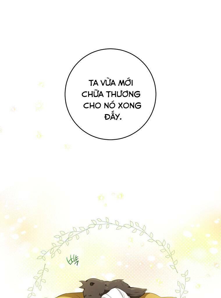 Trở Thành Cô Cháu Gái Bị Khinh Miệt Của Gia Tộc Võ Lâm - Chapter 19 - Page 27