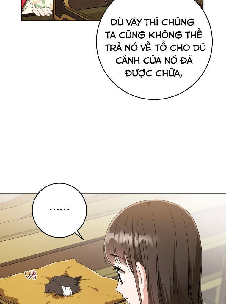 Trở Thành Cô Cháu Gái Bị Khinh Miệt Của Gia Tộc Võ Lâm - Chapter 19 - Page 30