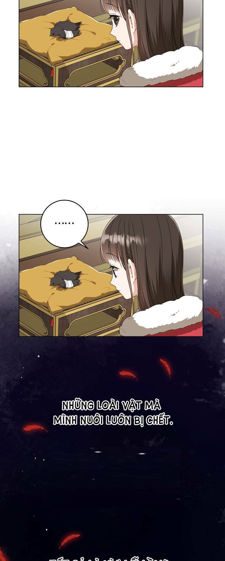 Trở Thành Cô Cháu Gái Bị Khinh Miệt Của Gia Tộc Võ Lâm - Chapter 19 - Page 33