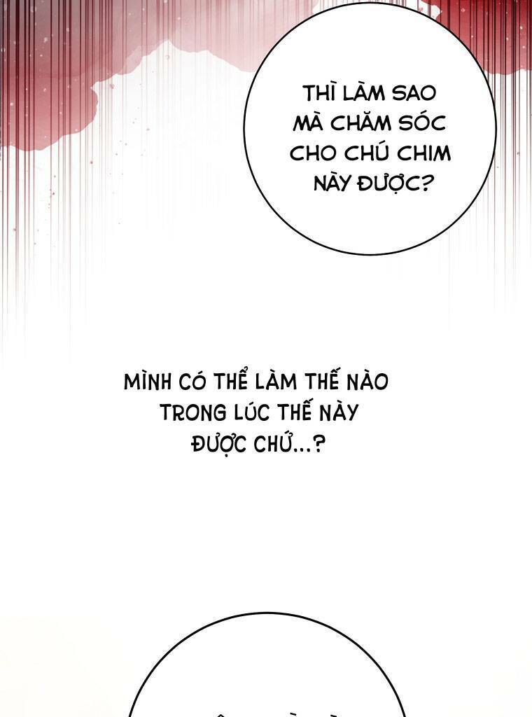Trở Thành Cô Cháu Gái Bị Khinh Miệt Của Gia Tộc Võ Lâm - Chapter 19 - Page 35