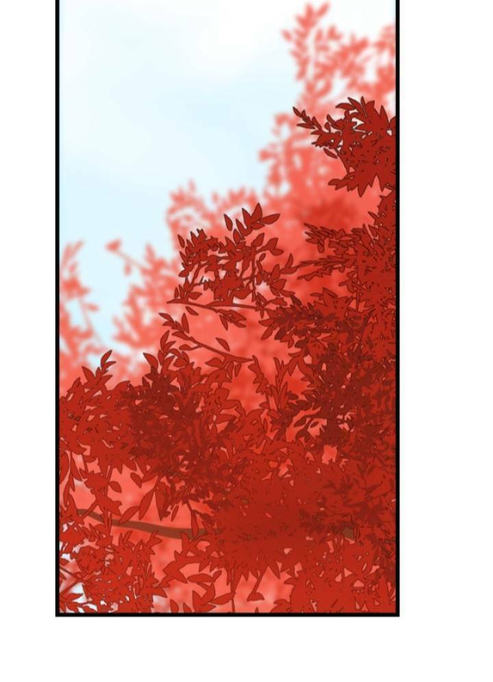 Độc Bộ Thiên Hạ: Đặc Công Thần Y Chapter 133 - Trang 5