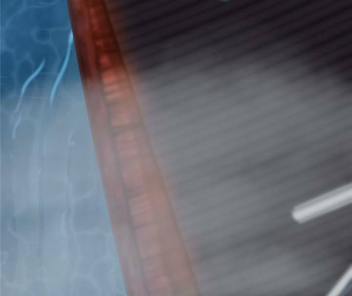 Độc Bộ Thiên Hạ: Đặc Công Thần Y - Chapter 144 - Page 24