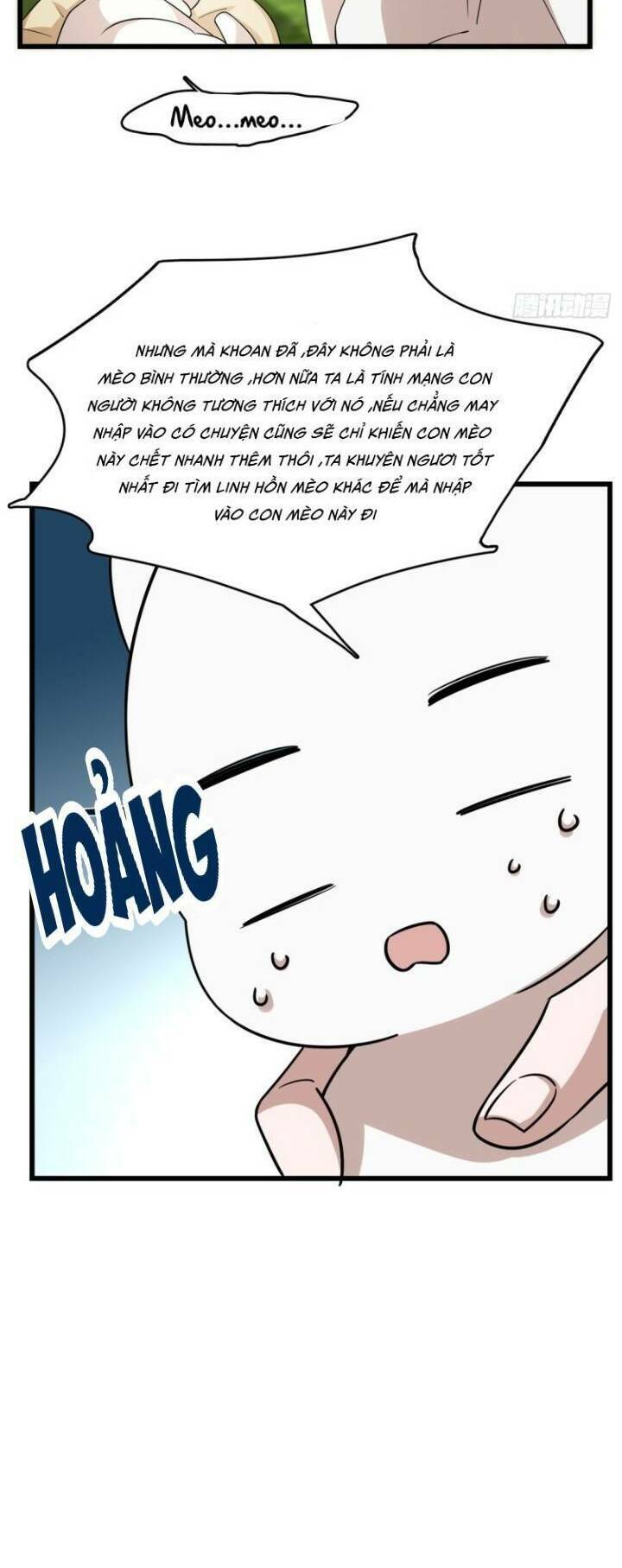 Độc Bộ Thiên Hạ: Đặc Công Thần Y Chapter 183 - Trang 15