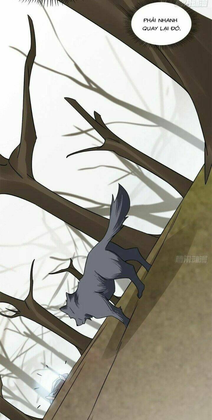 Độc Bộ Thiên Hạ: Đặc Công Thần Y Chapter 203 - Trang 11