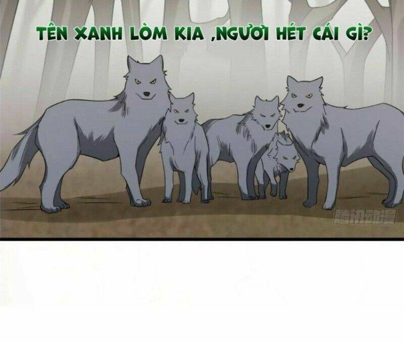 Độc Bộ Thiên Hạ: Đặc Công Thần Y Chapter 204 - Trang 6