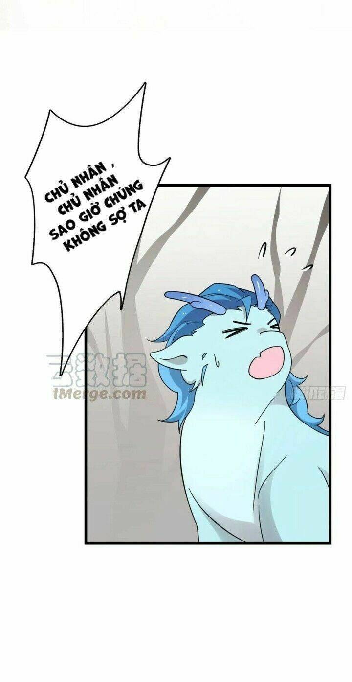 Độc Bộ Thiên Hạ: Đặc Công Thần Y Chapter 204 - Trang 7