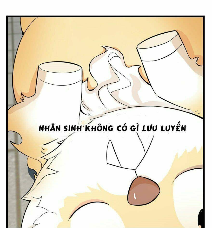 Độc Bộ Thiên Hạ: Đặc Công Thần Y Chapter 22 - Trang 55