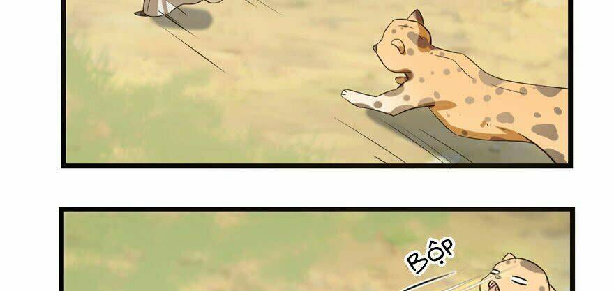 Độc Bộ Thiên Hạ: Đặc Công Thần Y Chapter 23 - Trang 131