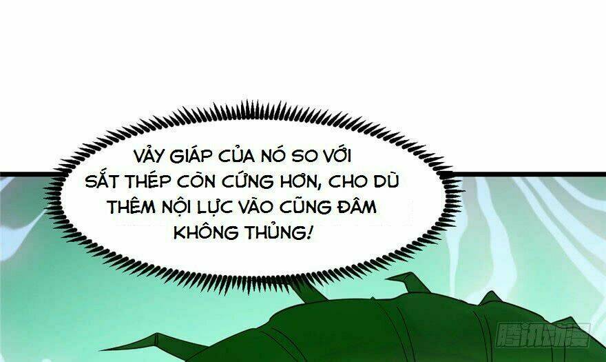 Độc Bộ Thiên Hạ: Đặc Công Thần Y Chapter 24 - Trang 13