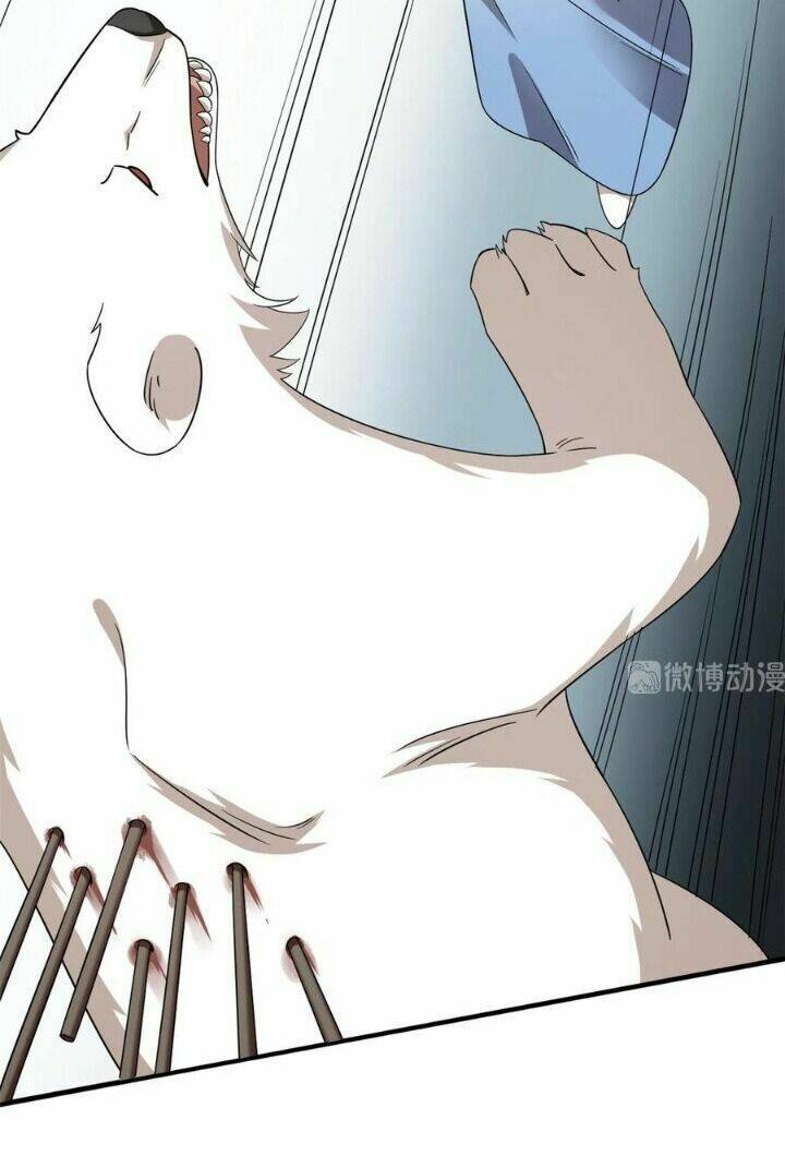 Độc Bộ Thiên Hạ: Đặc Công Thần Y - Chapter 254 - Page 9