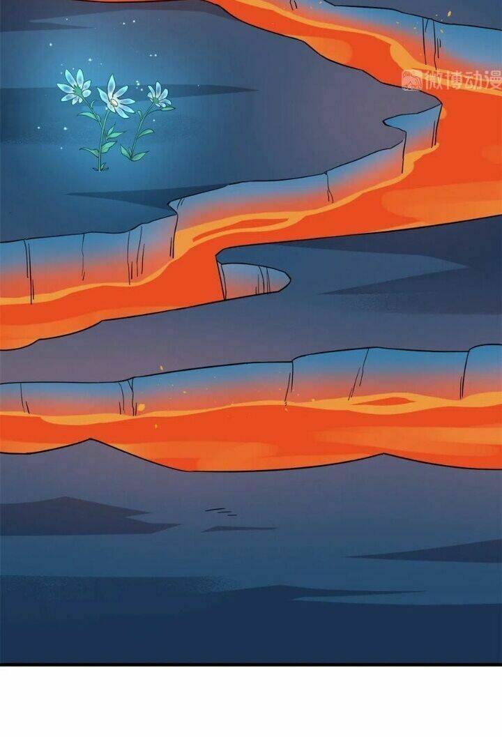 Độc Bộ Thiên Hạ: Đặc Công Thần Y Chapter 257 - Trang 24