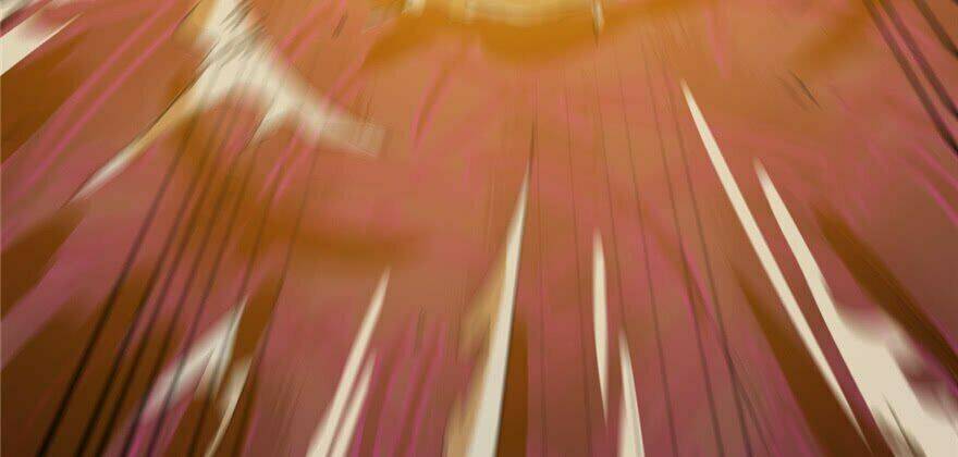 Độc Bộ Thiên Hạ: Đặc Công Thần Y Chapter 26 - Trang 10