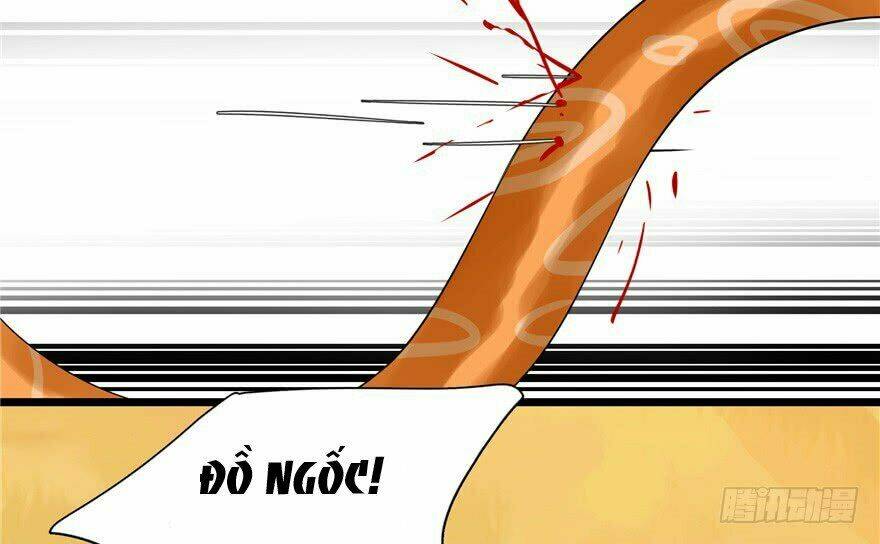 Độc Bộ Thiên Hạ: Đặc Công Thần Y Chapter 27 - Trang 56