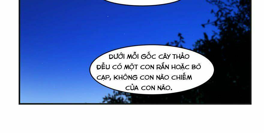 Độc Bộ Thiên Hạ: Đặc Công Thần Y Chapter 27 - Trang 81