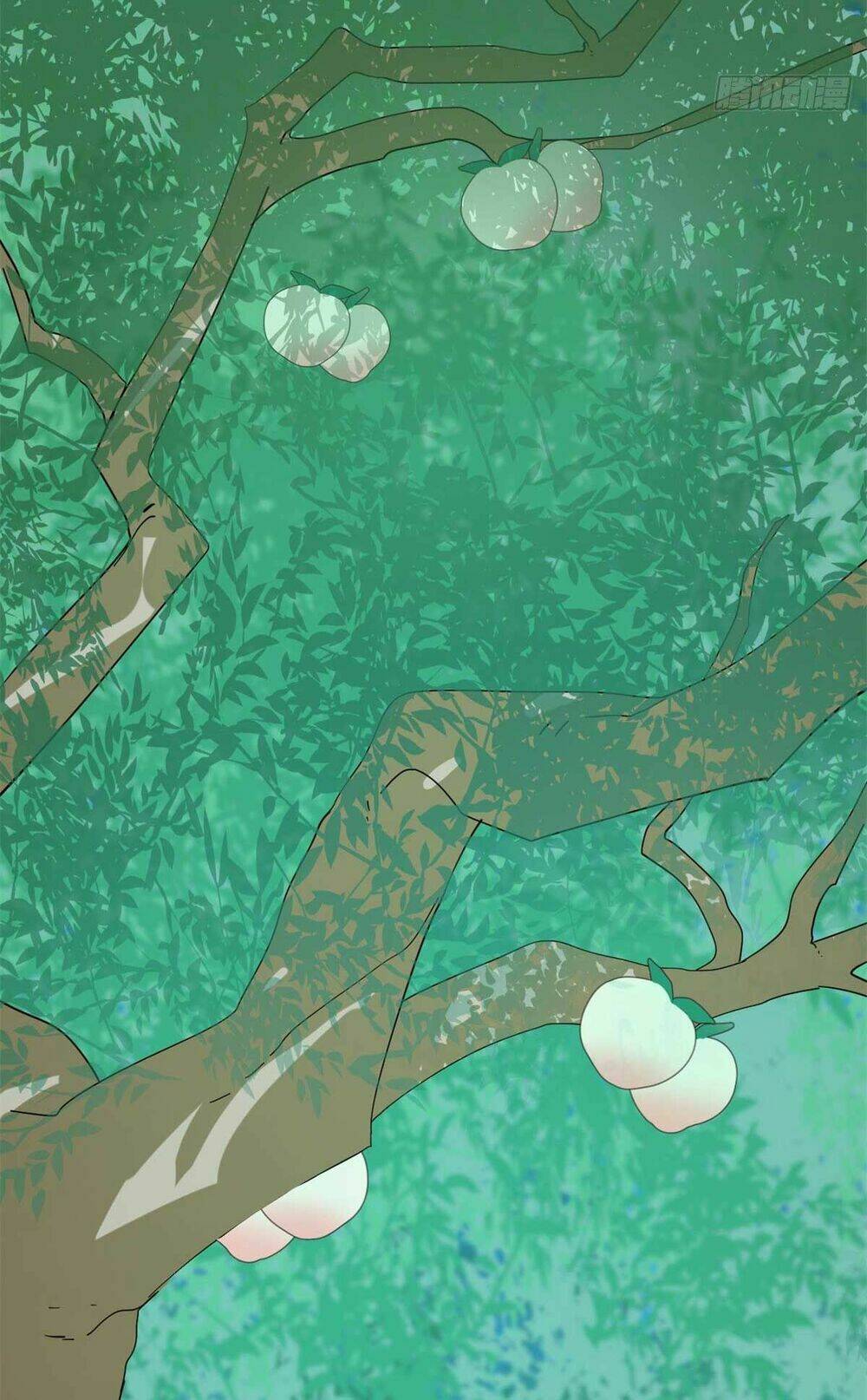 Độc Bộ Thiên Hạ: Đặc Công Thần Y Chapter 354 - Trang 15