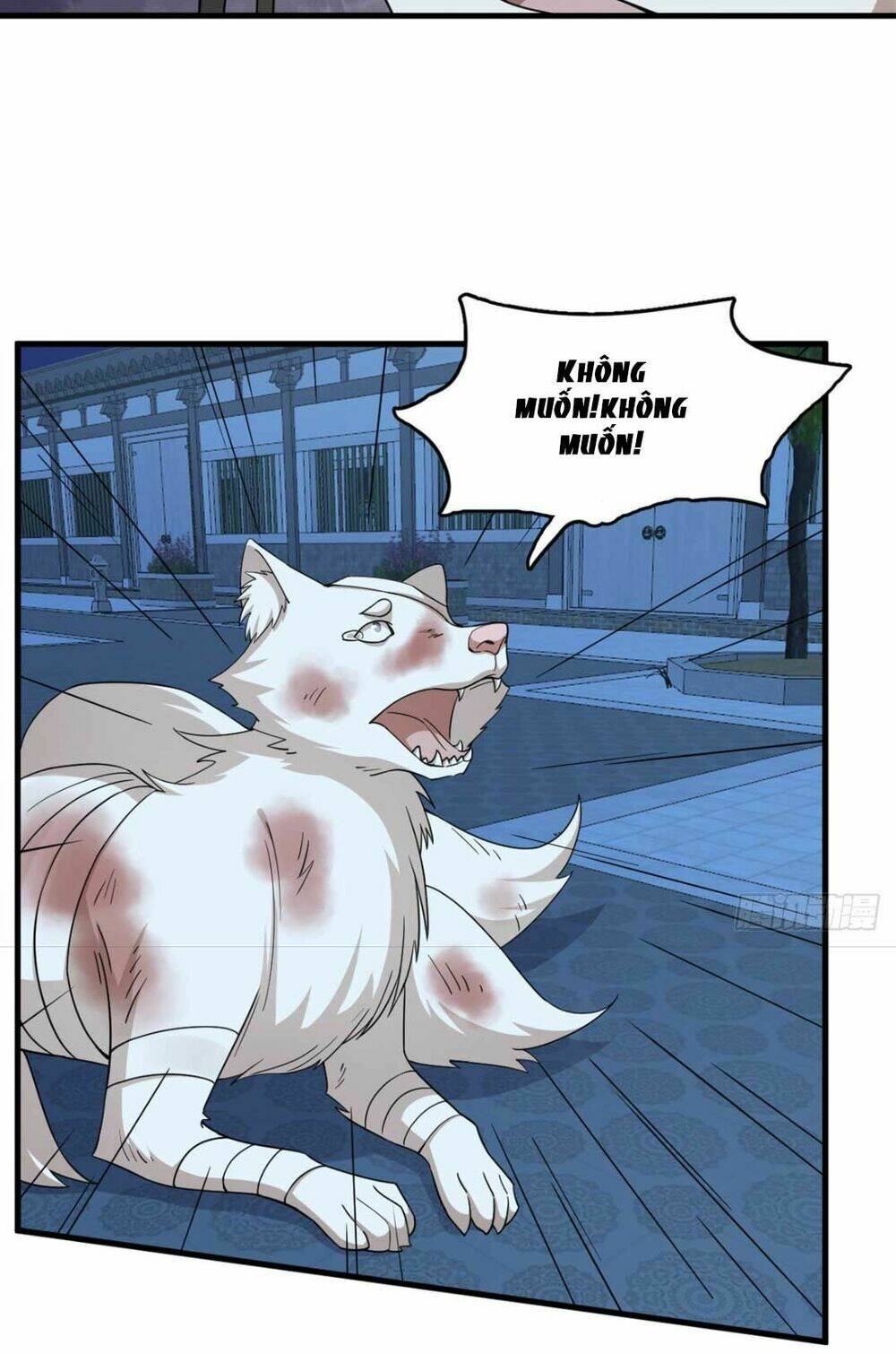 Độc Bộ Thiên Hạ: Đặc Công Thần Y Chapter 362 - Trang 6