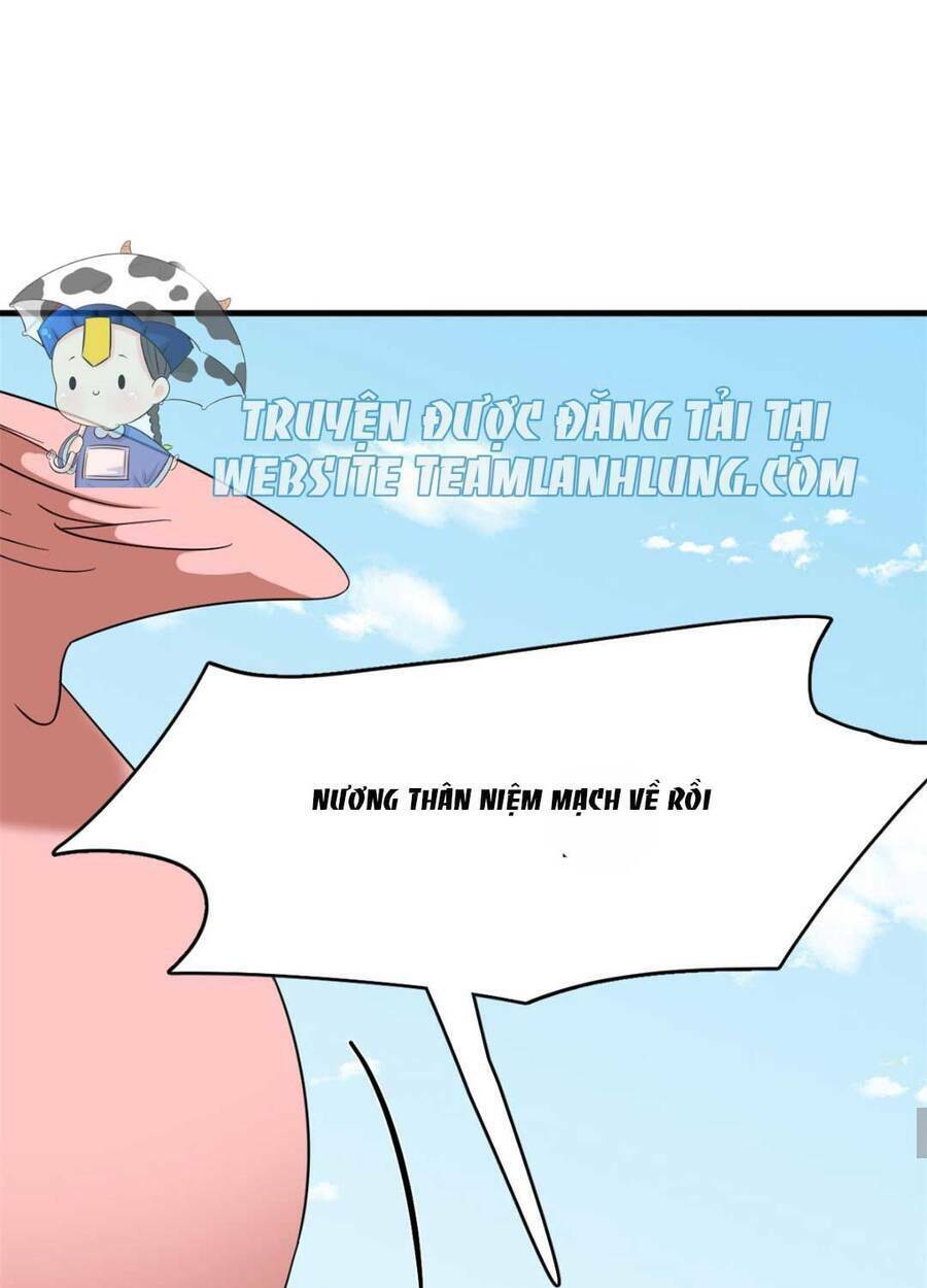 Độc Bộ Thiên Hạ: Đặc Công Thần Y Chapter 404 - Trang 26