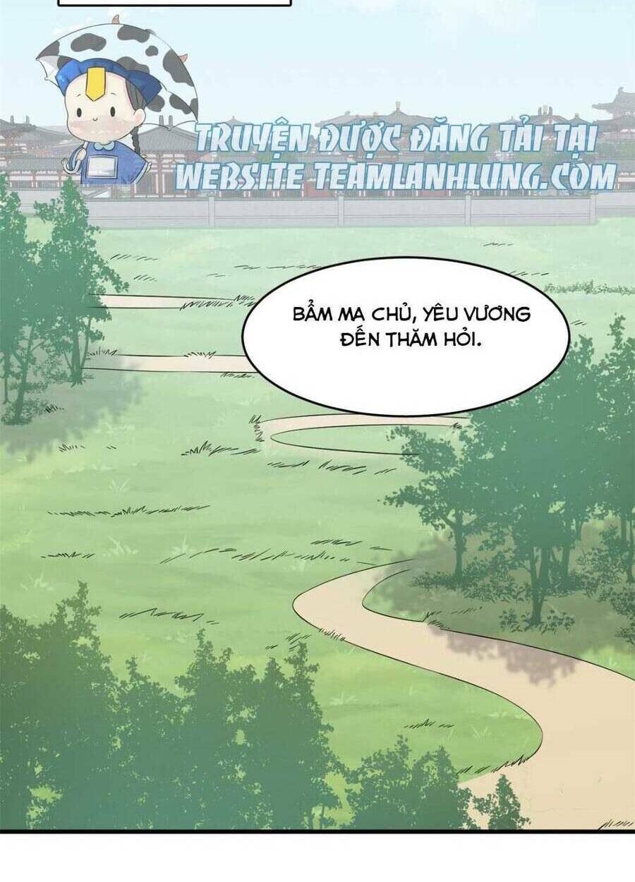 Độc Bộ Thiên Hạ: Đặc Công Thần Y Chapter 404 - Trang 4