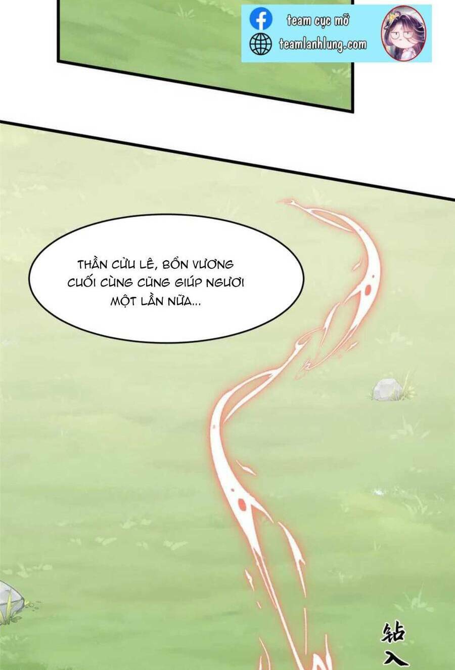 Độc Bộ Thiên Hạ: Đặc Công Thần Y Chapter 433 - Trang 13