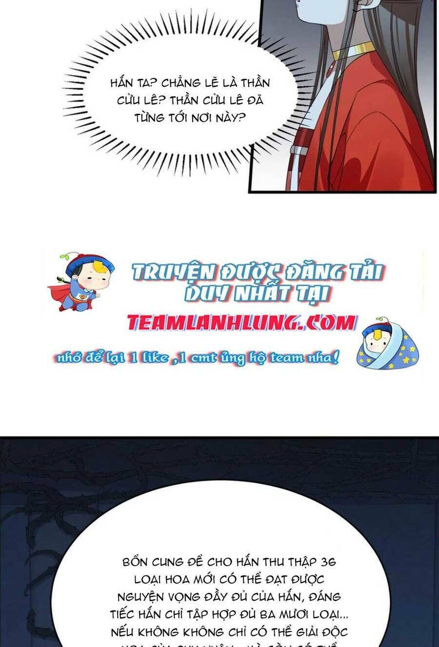 Độc Bộ Thiên Hạ: Đặc Công Thần Y Chapter 435 - Trang 45