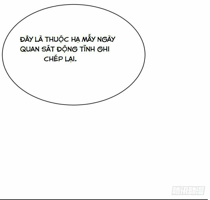 Độc Bộ Thiên Hạ: Đặc Công Thần Y Chapter 8 - Trang 36