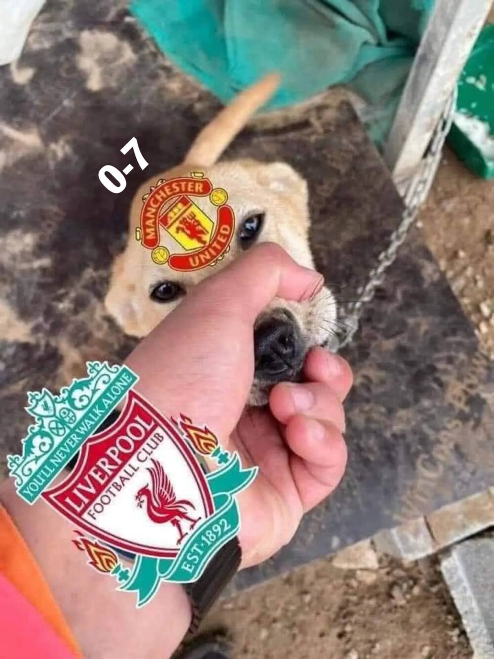 Ta Có Một Tòa Mạt Thế Mê Cung - Chapter 150 - Page 16