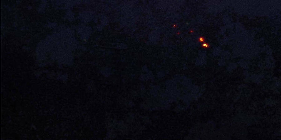 Vương Giả Săn Mồi - Chapter 0 - Page 20