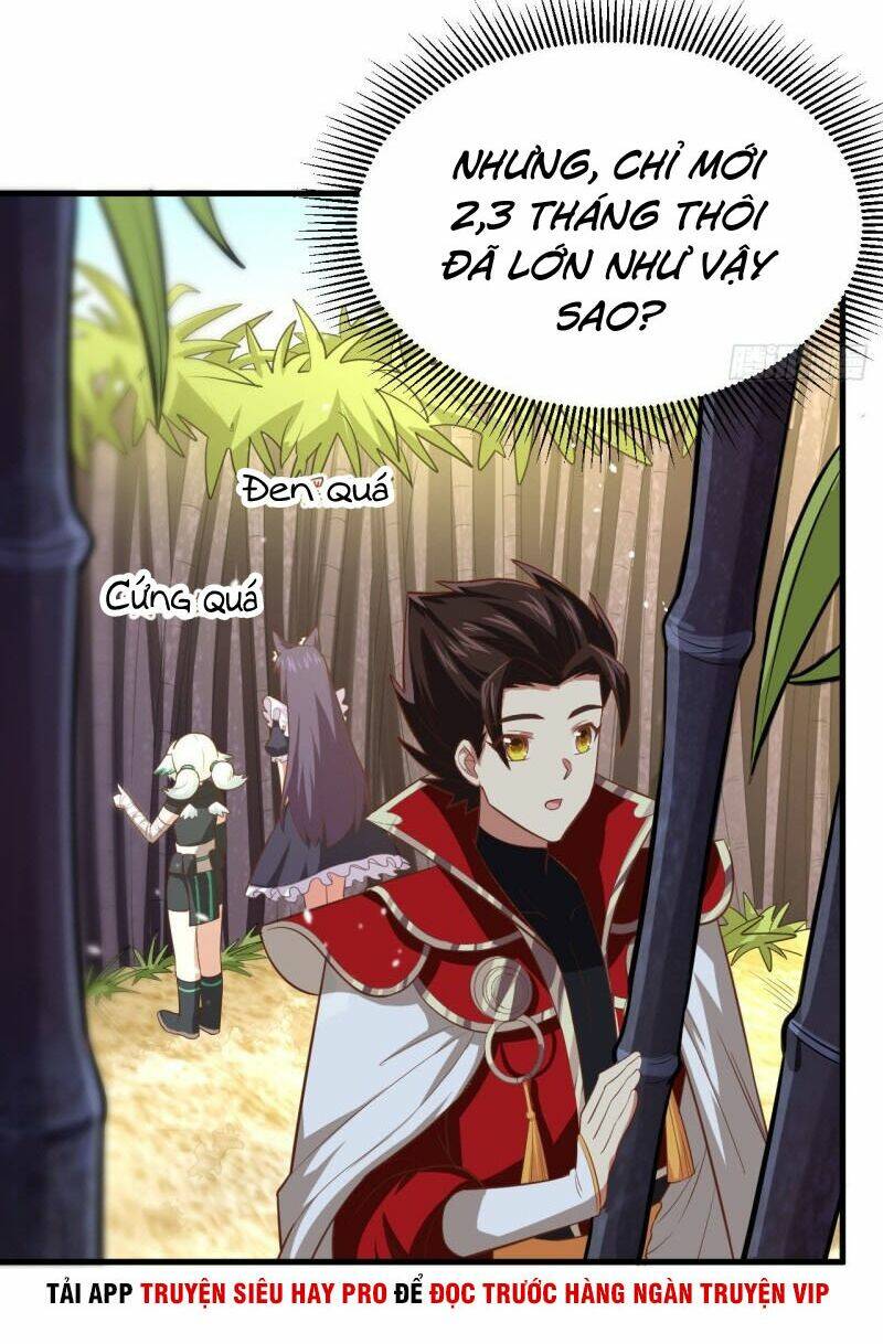 Từ Hôm Nay Bắt Đầu Làm Thành Chủ - Chapter 212 - Page 4