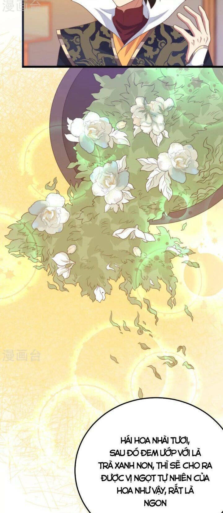 Từ Hôm Nay Bắt Đầu Làm Thành Chủ - Chapter 432 - Page 24