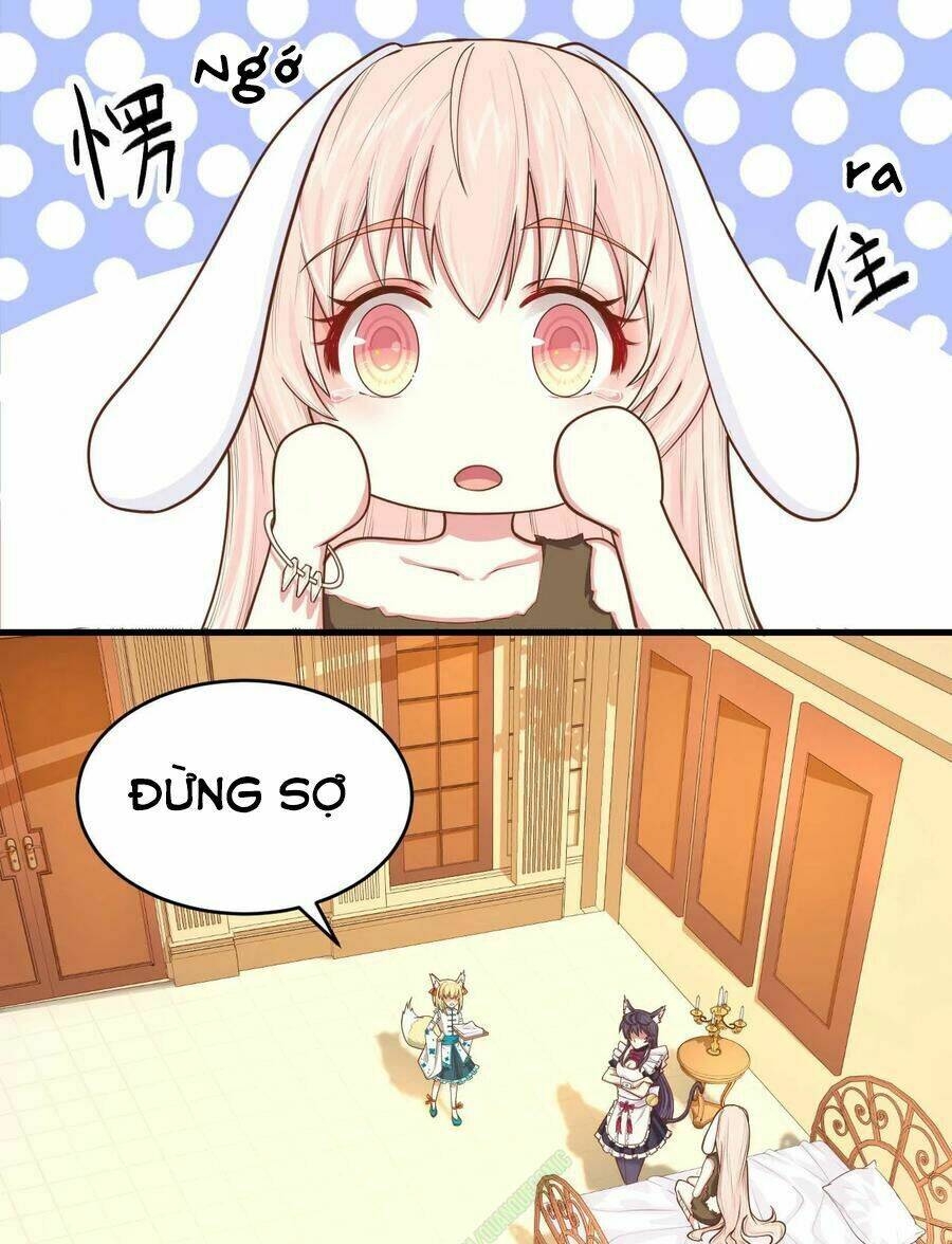 Từ Hôm Nay Bắt Đầu Làm Thành Chủ - Chapter 59 - Page 20