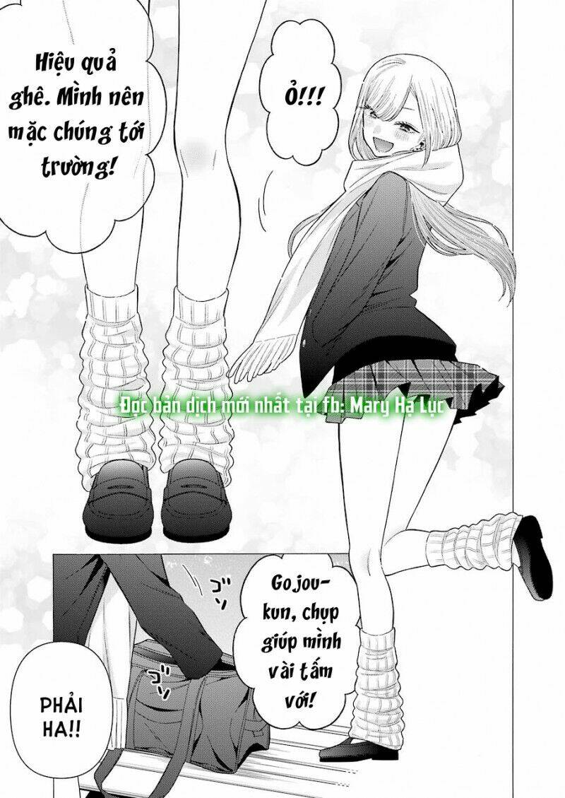 Nàng Nổi Loạn X Chàng Thợ May - Chapter 66 - Page 13
