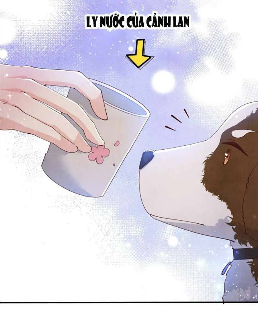 Tôi Có Ông Chồng Hay Ghen - Chapter 62 - Page 33