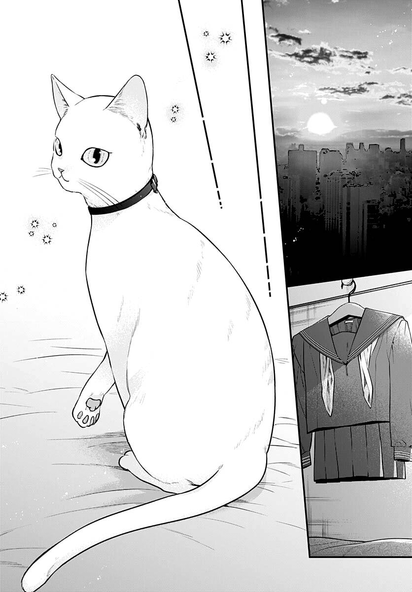 Mi-chan wa kawaretai - Chapter 8 - Page 29