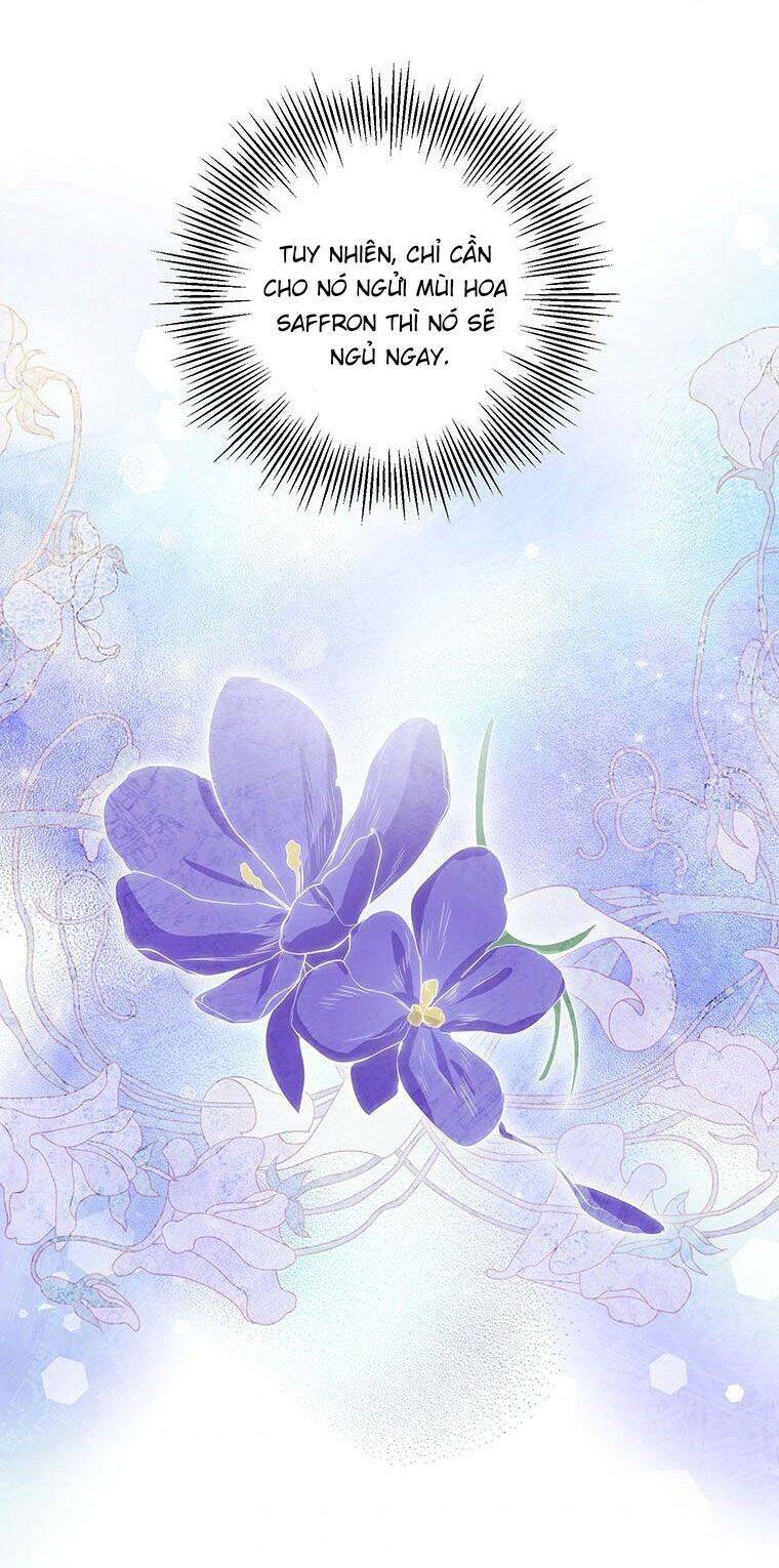 Phía Sau Mặt Nạ Của Nam Chính Hiền Lành - Chapter 13 - Page 40