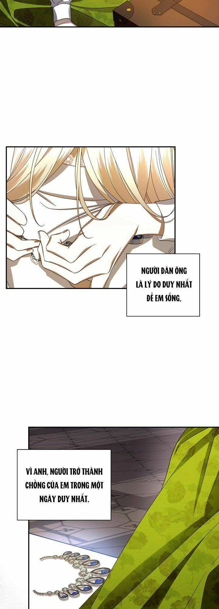 Phương Pháp Che Giấu Đứa Con Của Hoàng Đế Chapter 1 - Trang 29