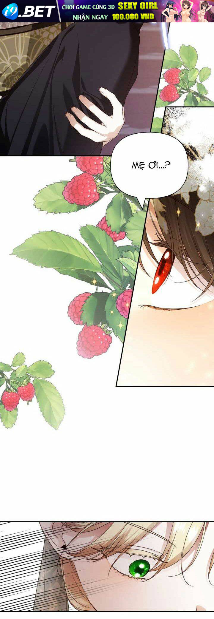 Phương Pháp Che Giấu Đứa Con Của Hoàng Đế - Chapter 64 - Page 3