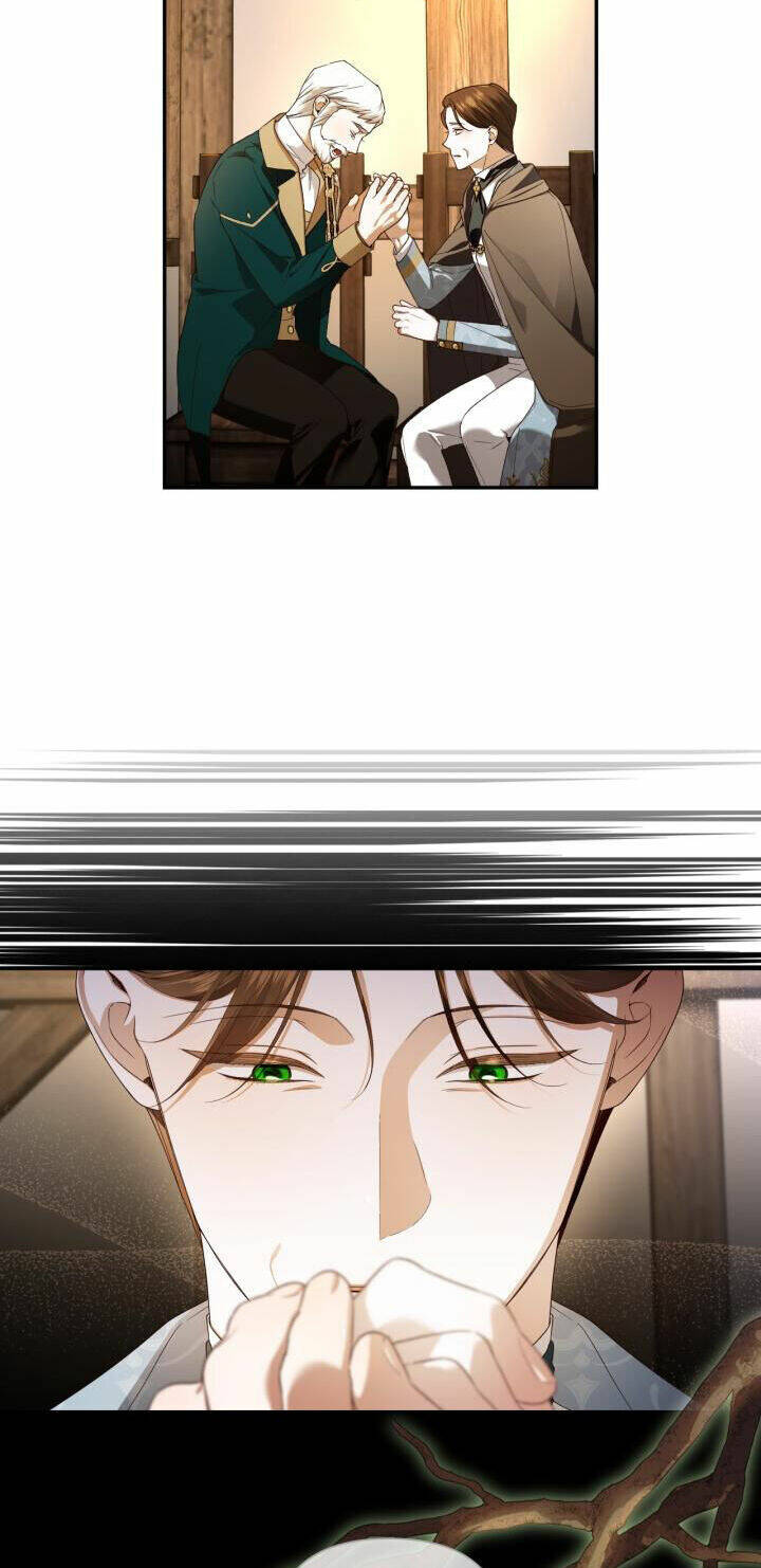 Phương Pháp Che Giấu Đứa Con Của Hoàng Đế Chapter 80 - Trang 26